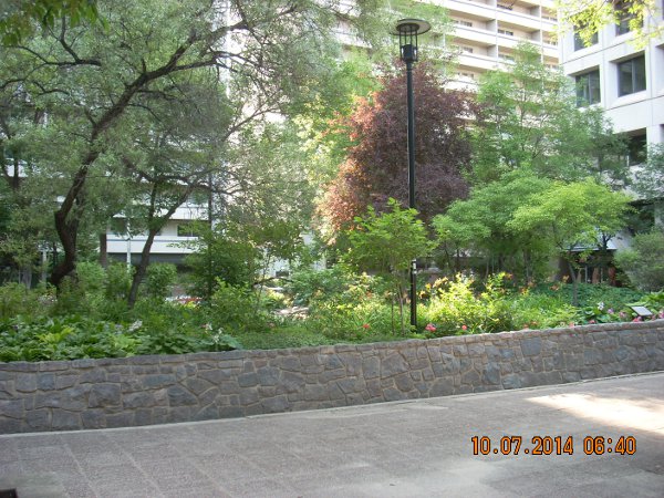 Winnipeg Japanese Garden from street